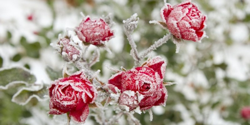 L'ultimo respiro di dicembre