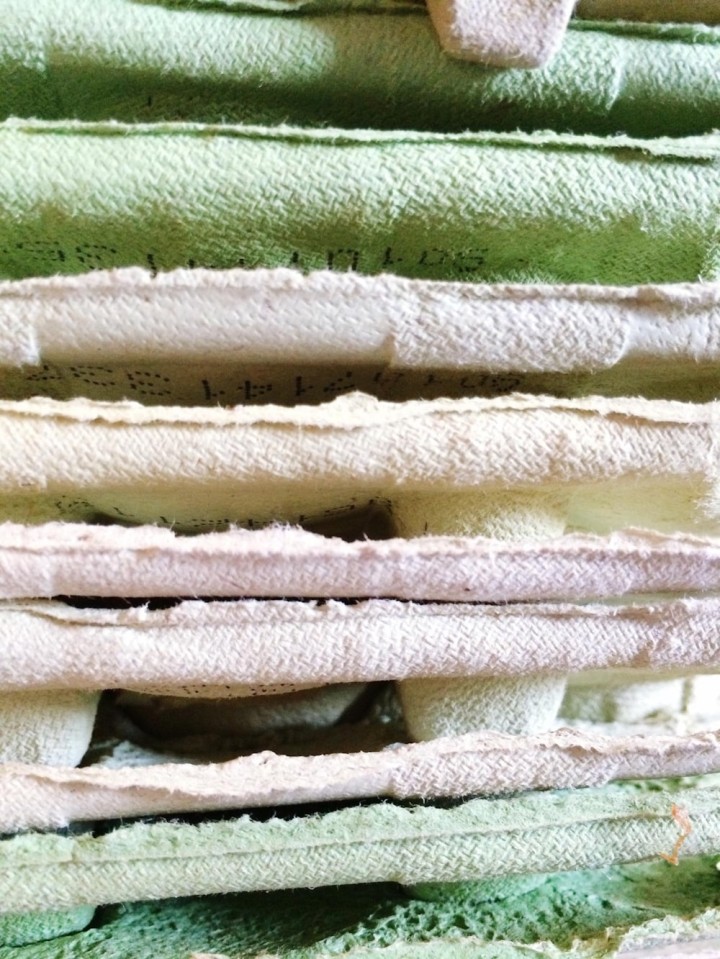 stampare-ecologico-a-firenze-min.jpg