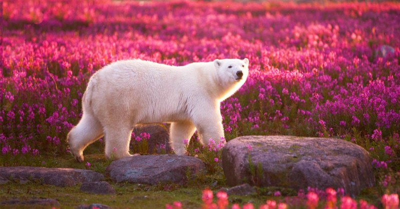 Prepara adesso la tua primavera!