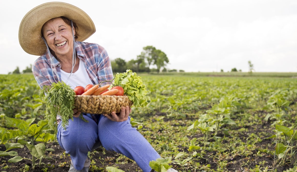 Tutta la comunicazione per le aziende agricole: dall'etichetta al sito web!